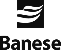 Logo Banese